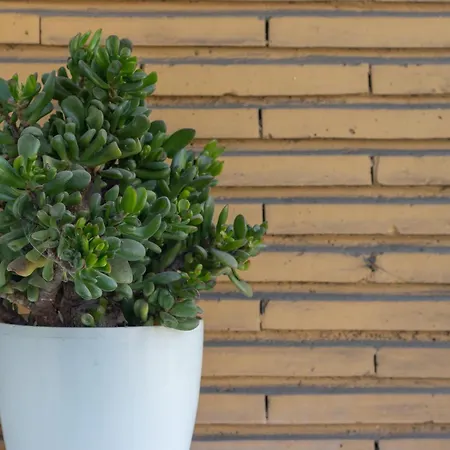 アパート Horia By People